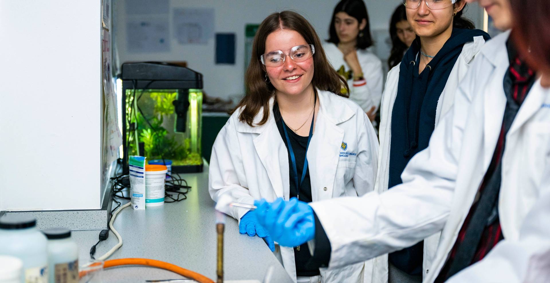 Upper school students in a science lesson.